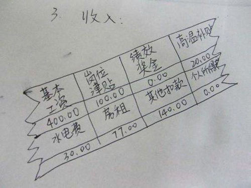 屌絲收入曝光