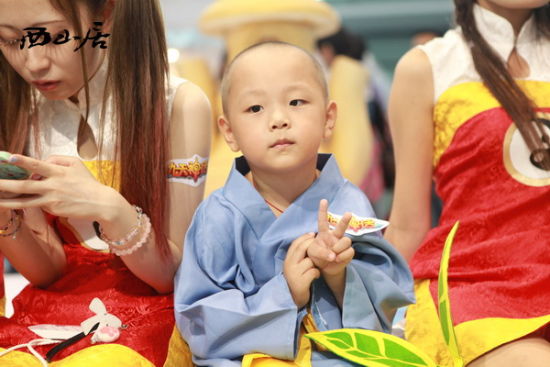 ��ͼ6����ɽ����̫coser����ϵ��ͼ��