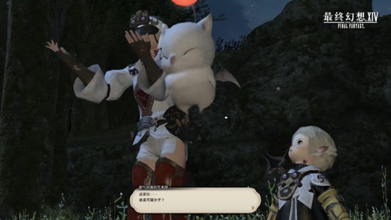 FF14߶ (3)