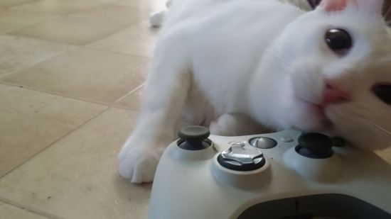 ��ҳ�������Ϸ���ȴ����� (1)