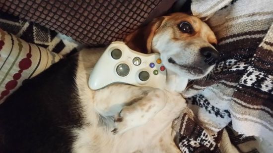 ��ҳ�������Ϸ���ȴ����� (6)