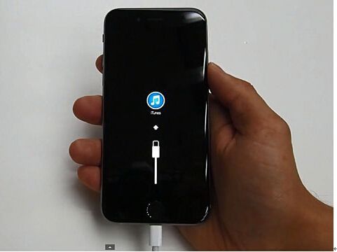 一个肾不够！细数必买iPhone6的五大理由