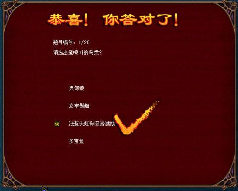 每日答题