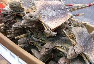 真是佩服日本人的饮食习惯啦