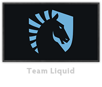 Liquid