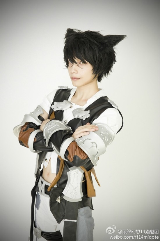 �������� FF14�ٷ�è����С��è�����ͼ