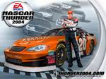������Ϸ_��EA Sports 2004������ϵ�б�ֽ