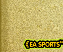 FIFA