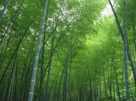 黄金周后游QQ幻想世界江山分外多娇_网络游戏