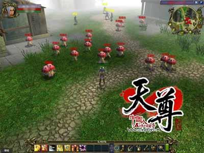 成群结队毒蘑菇