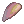 ָ