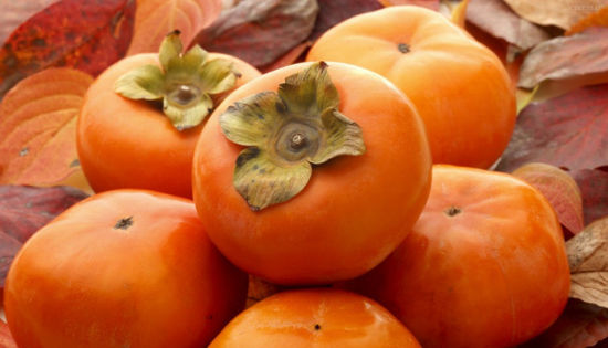  Why Eat Persimmons in Frost