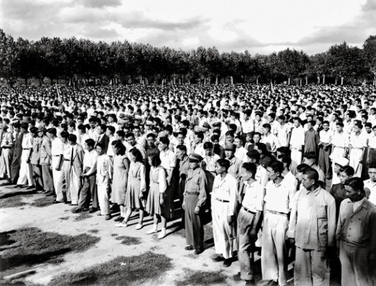  1948年,蒋经国组织“大上海青年服务总队”,以群众运动的方式打击奸商非法屯积行为，将矛头瞄准豪门巨富，称之为“打老虎”。