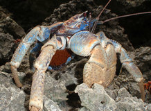 iPhone刷机与iTunes使用技巧 苹果设备问题解决方法