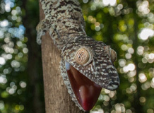 怎样鉴别手机是不是原封新机