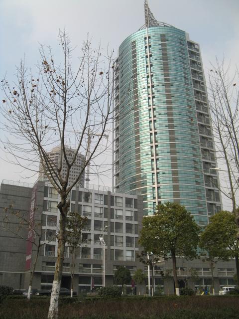 东渡新锐国际