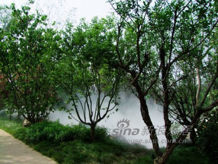龙湖紫都城景观园林 样板间绚丽开放(图)_活动