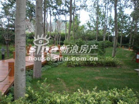 图为项目社区内实景