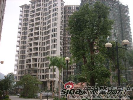20101123172750.jpg