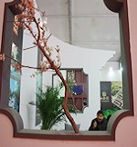 �ŵ�԰�ֵ�д��ռ�