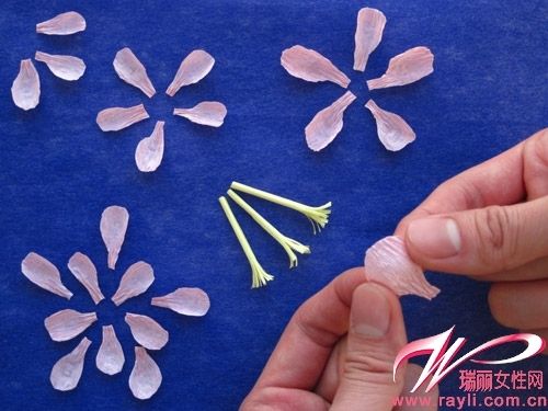 达人教你制作桃花枝+升级桃花指数(4)