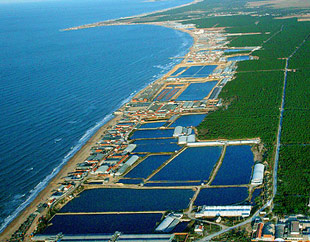 探秘长寿之乡 休闲养生楼盘精选