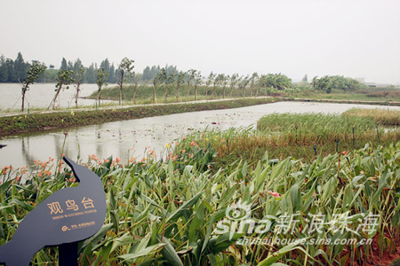 华发水郡省级湿地公园首期工程落成媒体开放日