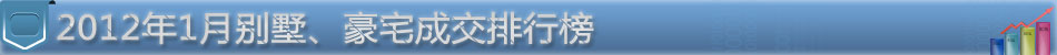 数据标题文字6