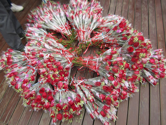 龙湖地产2012年系列公益行之三八妇女节活动