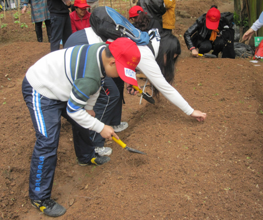 拥抱春天播种希望,旅程天下亲子植树节播种隆