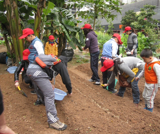 拥抱春天播种希望,旅程天下亲子植树节播种隆