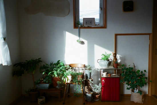 日本小清新 <em>Sayaka</em>的日系简约家居_新浪家居