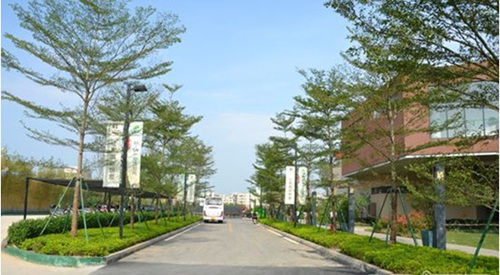 园林实景 园林实景