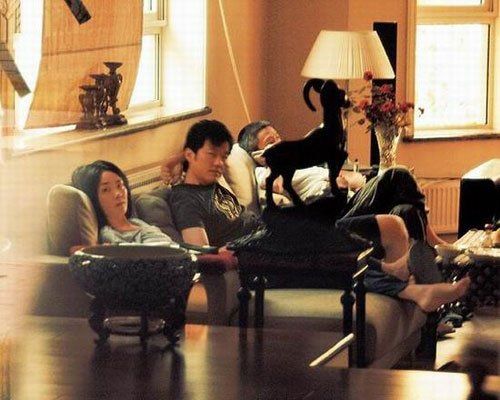 王菲、李亚鹏 王菲、李亚鹏