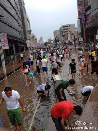 天津暴雨:塘沽金街逮鱼 天津暴雨:塘沽金街逮鱼
