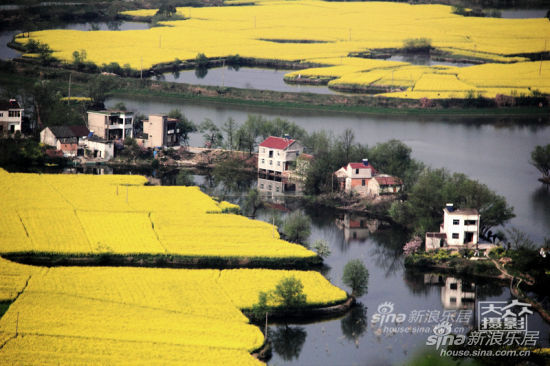 我的城市我的家 摄影赛芜湖站个人作品展(二)_