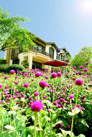 平果碧桂园唯美园林规划 自然兼繁华_平果碧桂