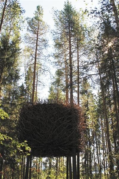 瑞典世界最大树屋形似鸟窝 称灵感来自鸟巢(图