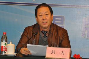 中国设备管理协会副秘书长 刘力