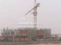 大城小镇 实景图 工地远景