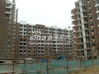 大城小镇 实景图 1、5号楼