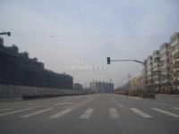 金地格林小镇 实景图 周边道路