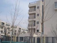 金地格林小镇 实景图 小区实景