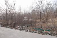 广渠路15号地 实景图 地块实景