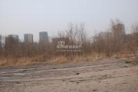 广渠路15号地 实景图 地块实景