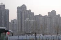 广渠路15号地 实景图 周边配套