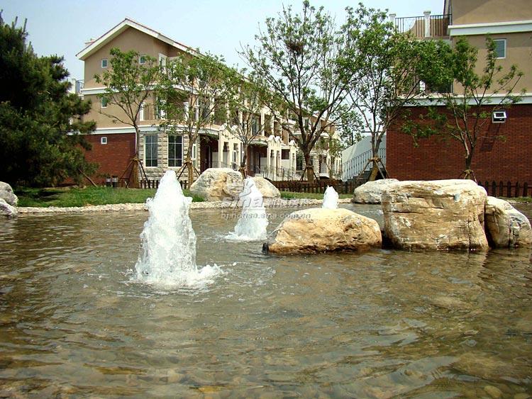 天鹅堡·归墅 实景图 社区实景