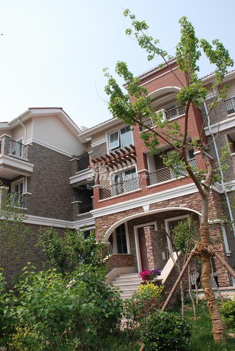 天鹅堡·归墅 实景图 楼盘实景