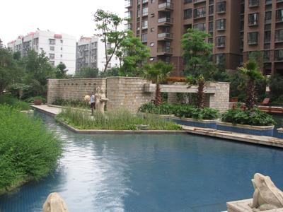 ��ʽ������������롪�������õط�˳�