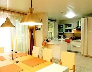 厨房新意设计为居室增色-墙面新材料(图)